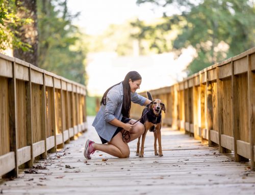 Paws & Explore: Your Dog-Friendly Guide to Ashland, Virginia